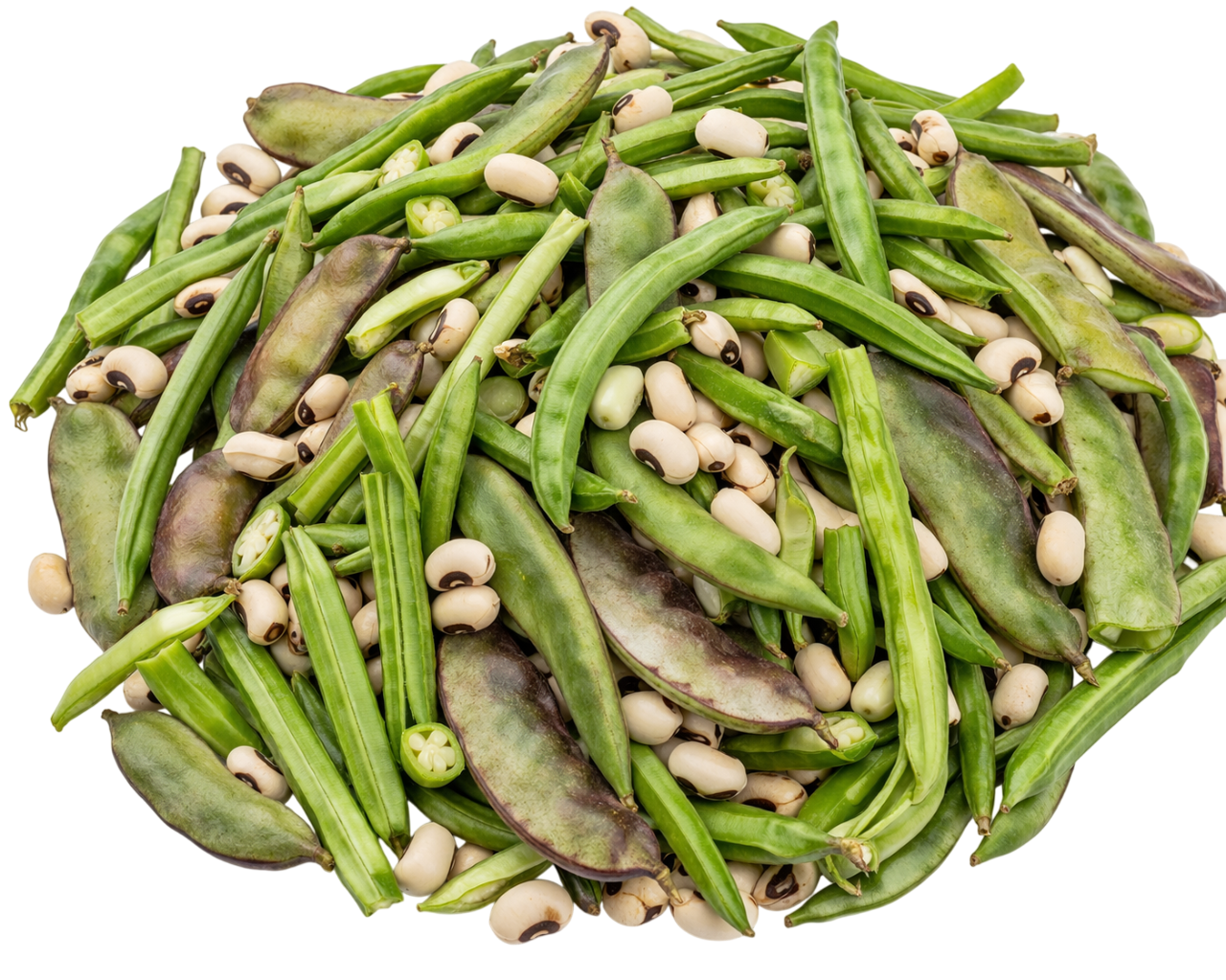 ChatGPT Image Apr 3, 2026, 03_26_37 PM-Photoroom